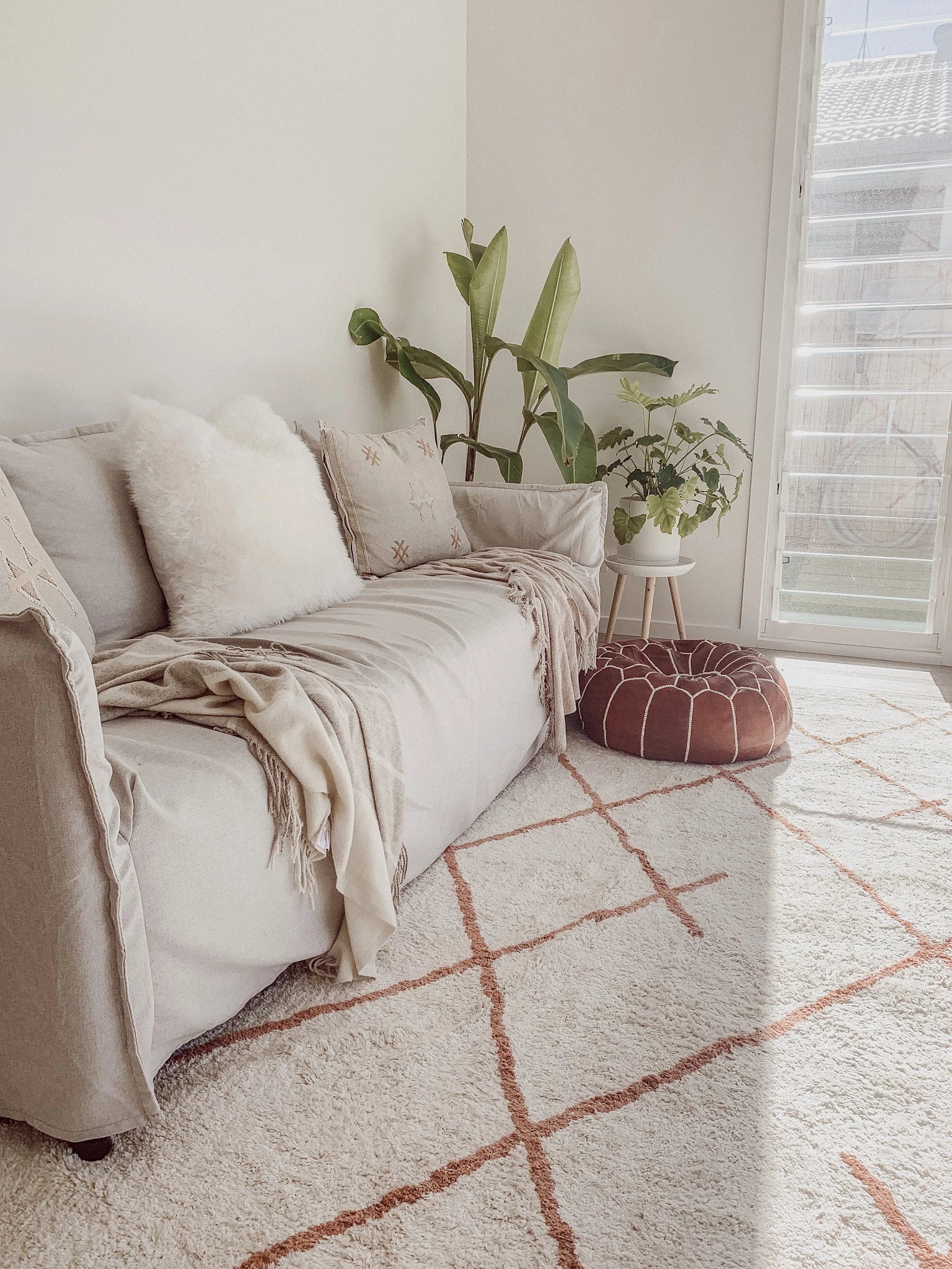 Washable Living Room rug